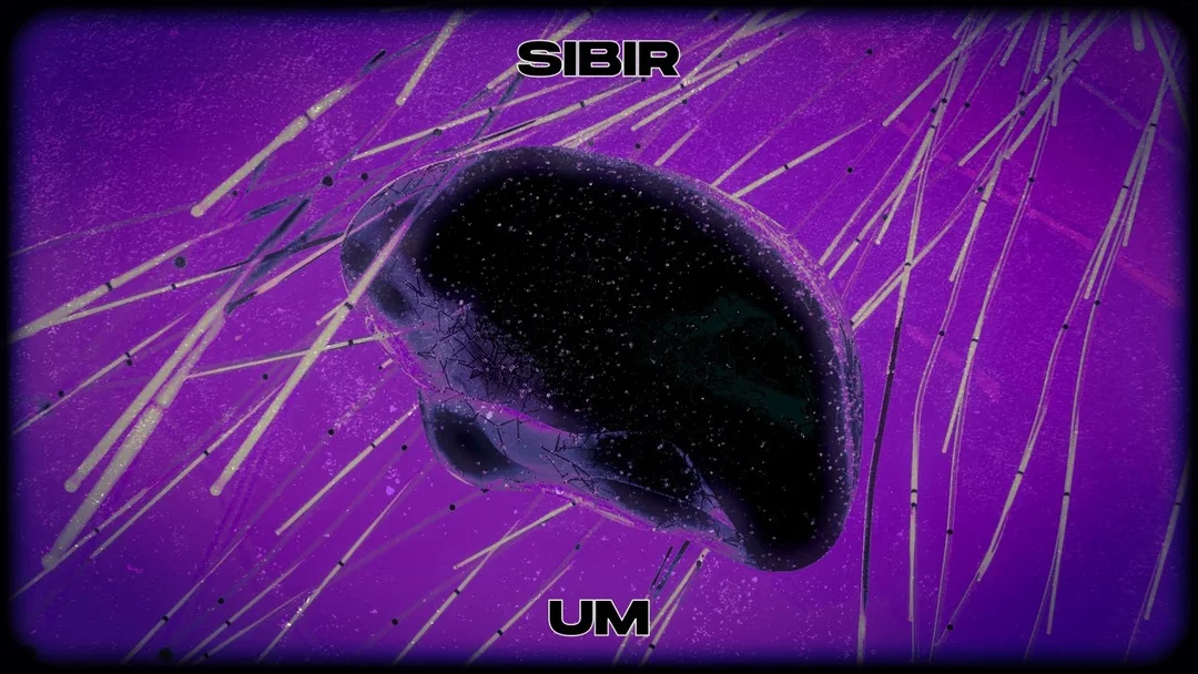 Sibir